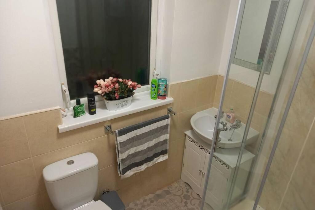 Waterloo House Centre Townhouse * Londonderry