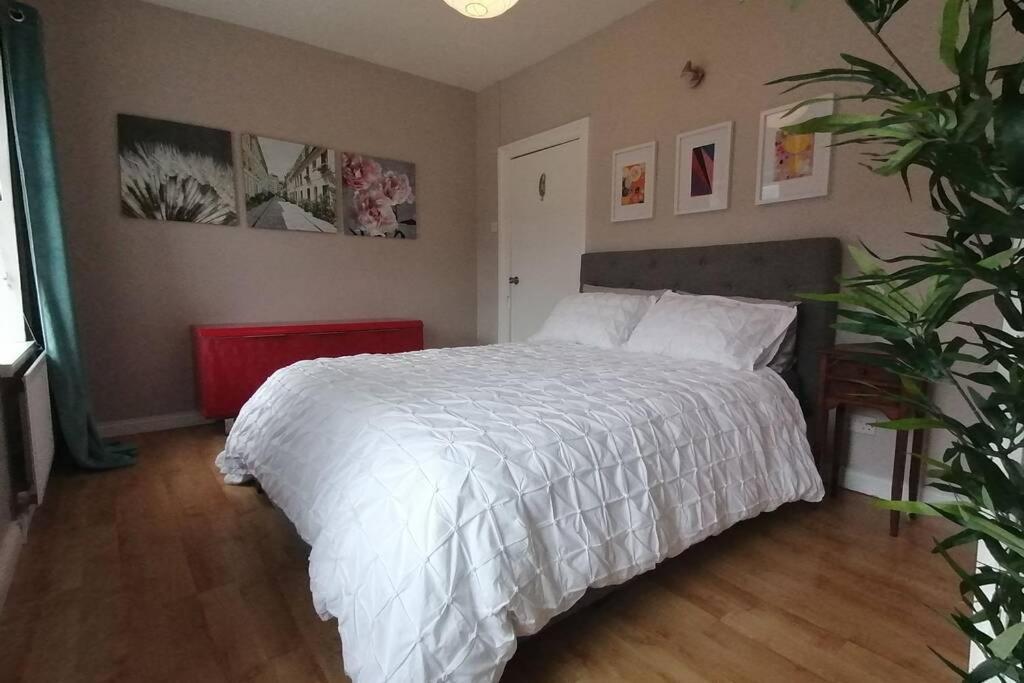 Argyle House, 10 Minute Walk From Centre Londonderry
