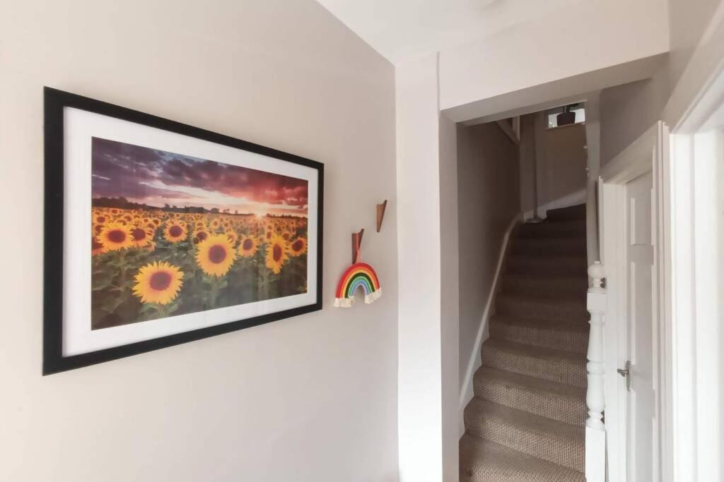 Argyle House, 10 Minute Walk From Centre * Londonderry