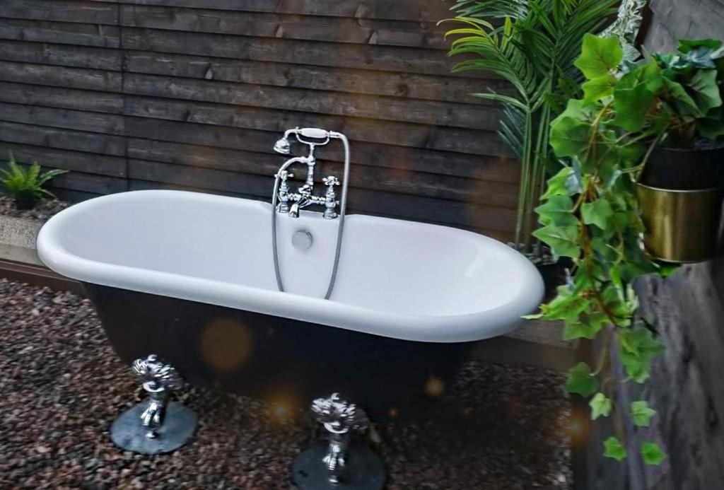 Studio42 Hideaway Holiday home Londonderry