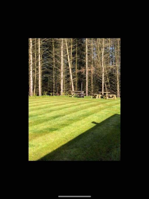 Woodland Lodge, Londonderry