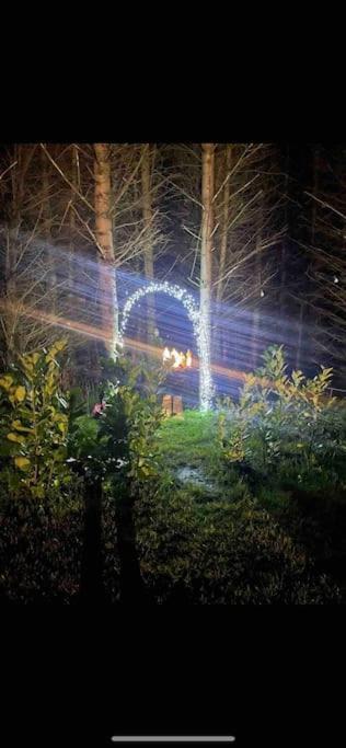 Woodland Lodge, Apartment Londonderry