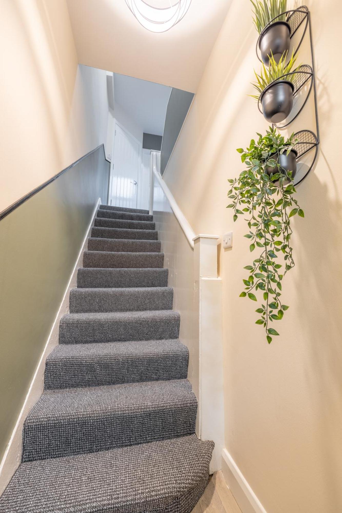 Apartamento Violet