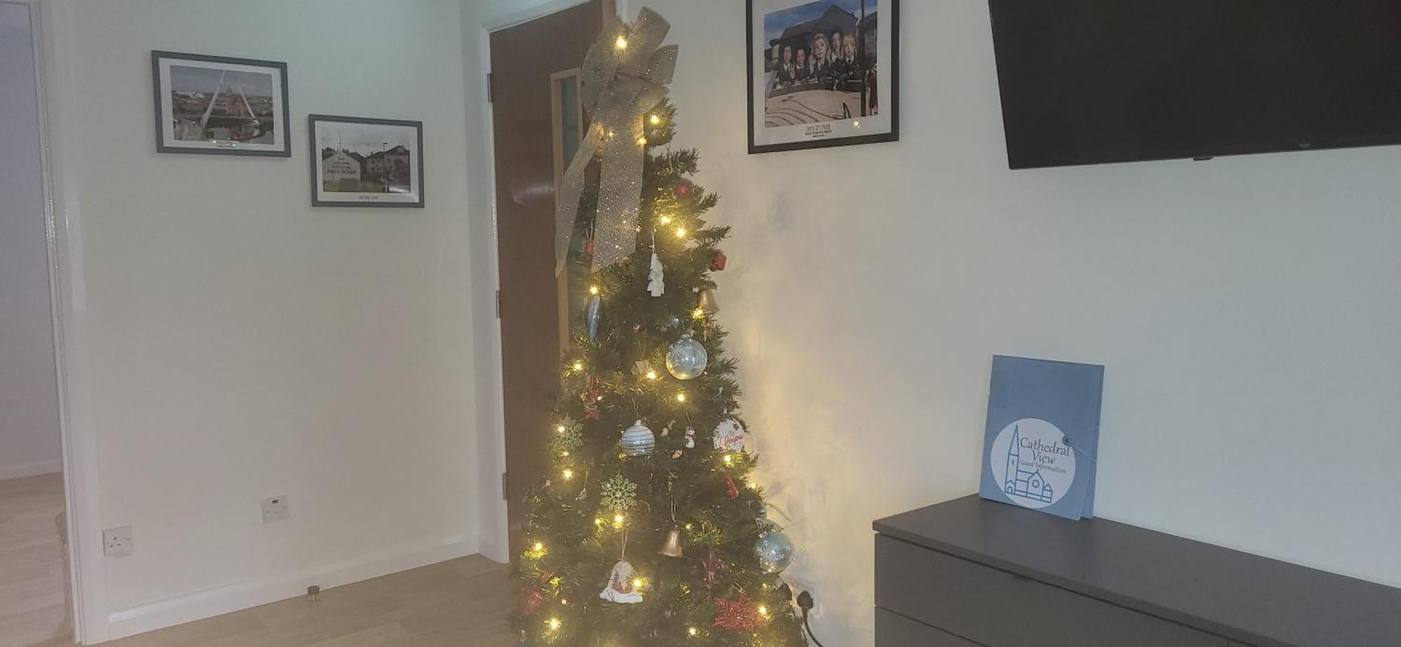 Cathedral View Apartment Londonderry