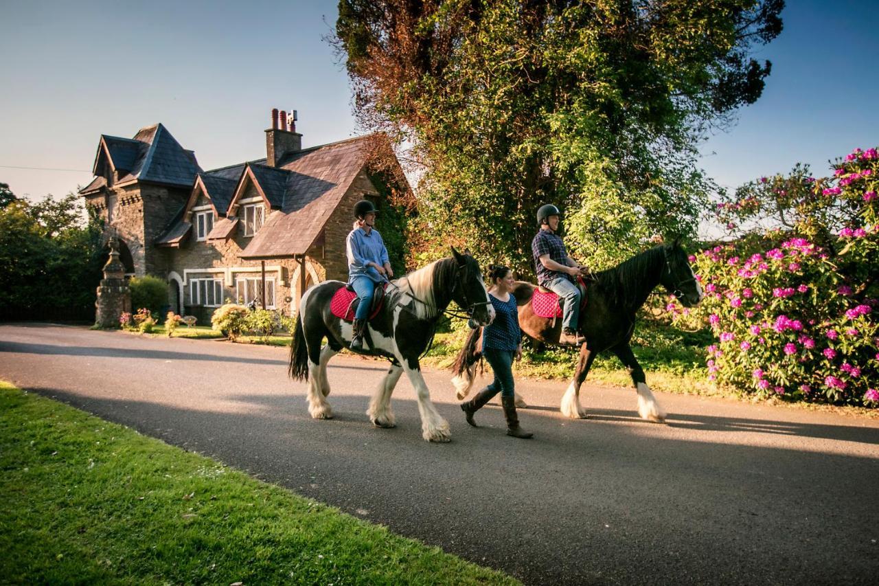 Country house Beech Hill *