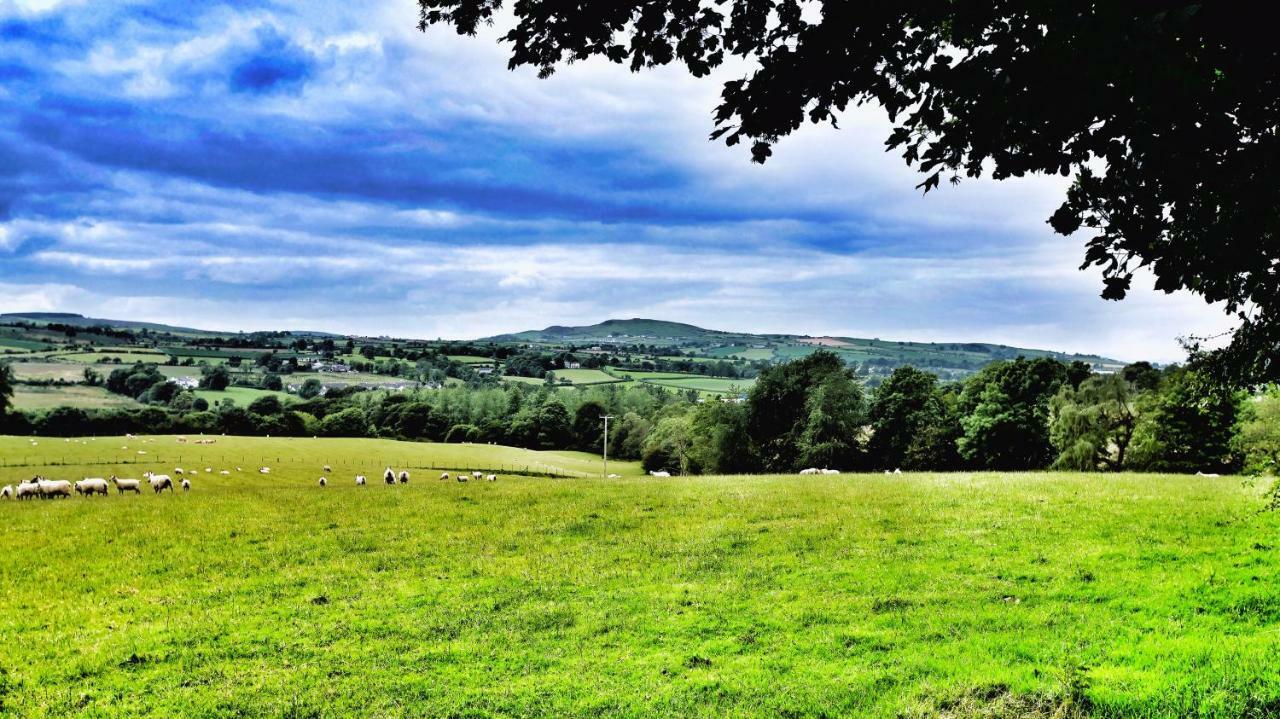 Bed & Breakfast Elagh View 3*