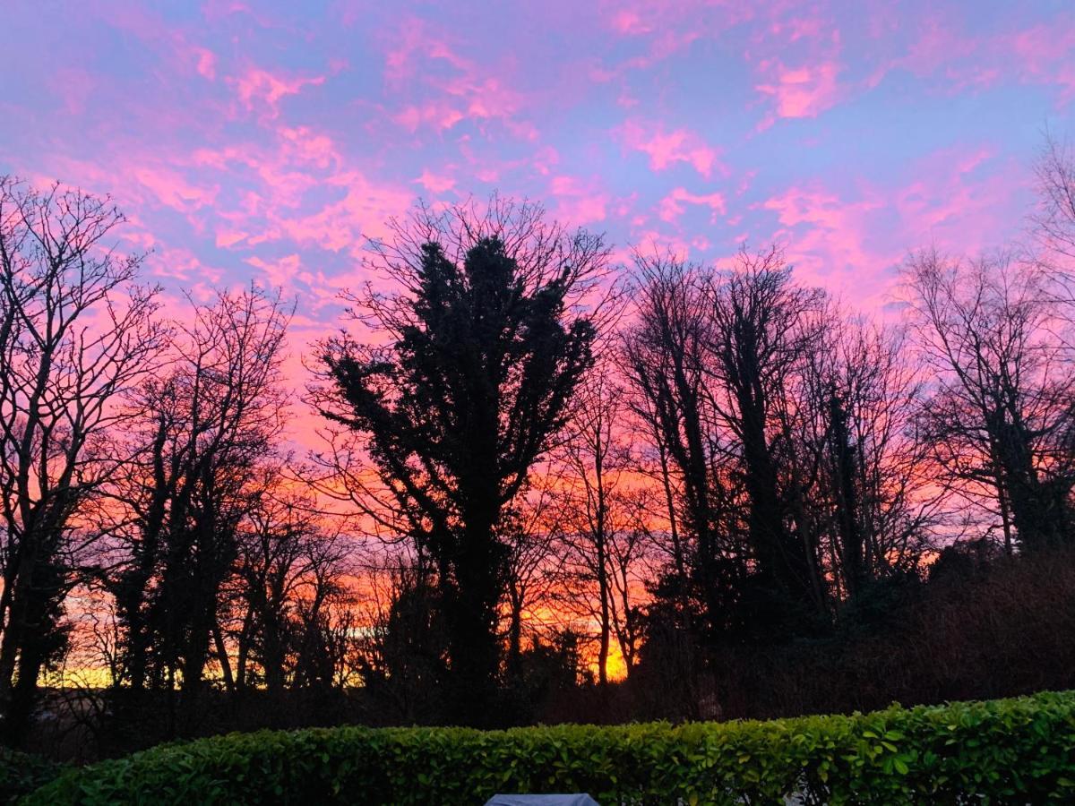 Larchmount House Bed & Breakfast Londonderry