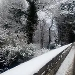Bridge Cottage
