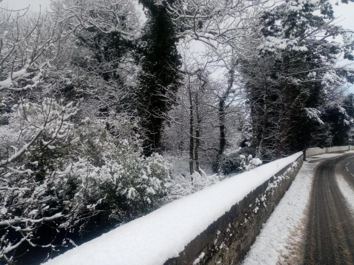 Guest house Bridge
