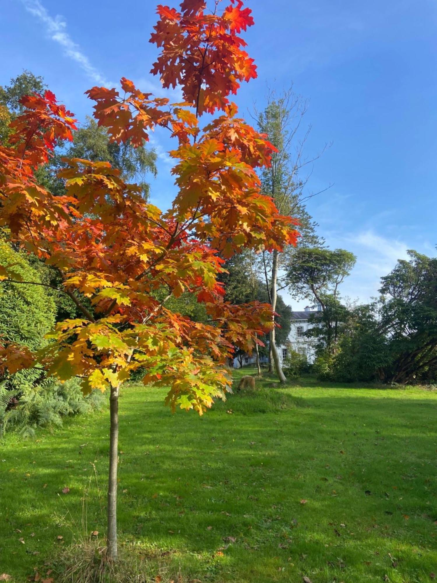 Holiday home Courtyard At Ballyscullion Park