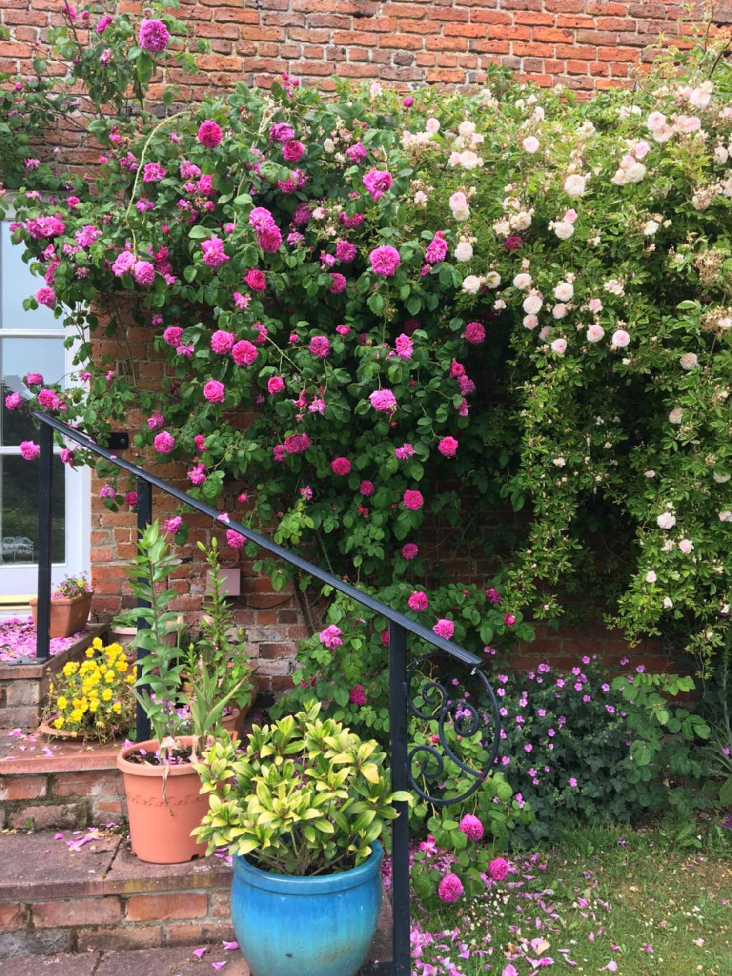 Courtyard At Ballyscullion Park Holiday home *